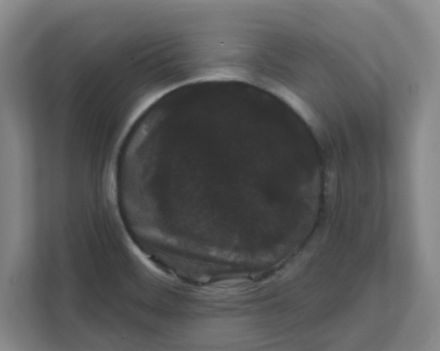 X0000111421468200908031255