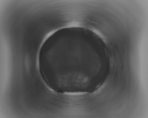 X0000111421469200908031255