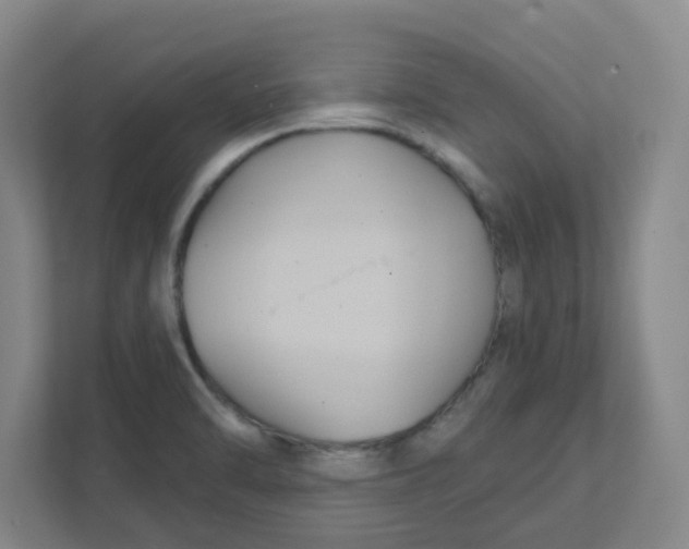 X0000111421470200908031255