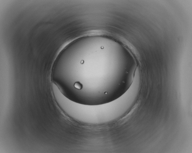 X0000111421473200908031255