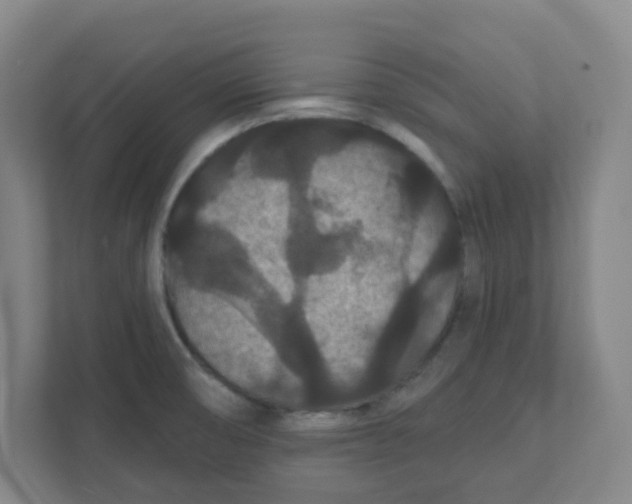 X0000111421474200908031255