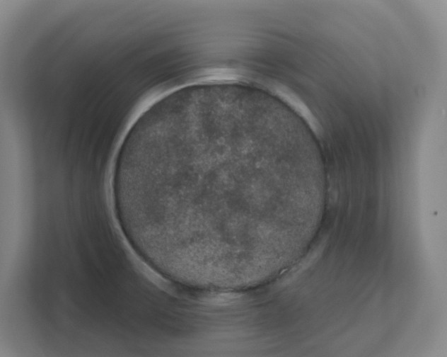 X0000111421475200908031255