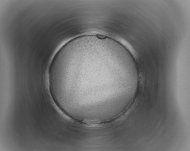 X0000111421476200908031255