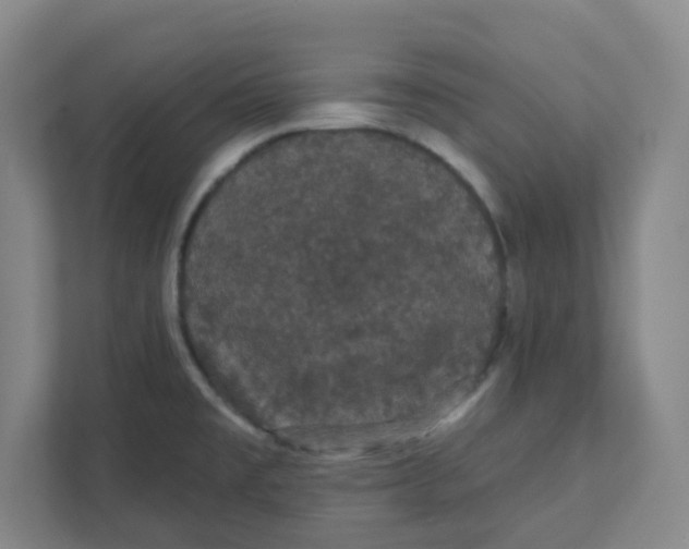 X0000111421477200908031255