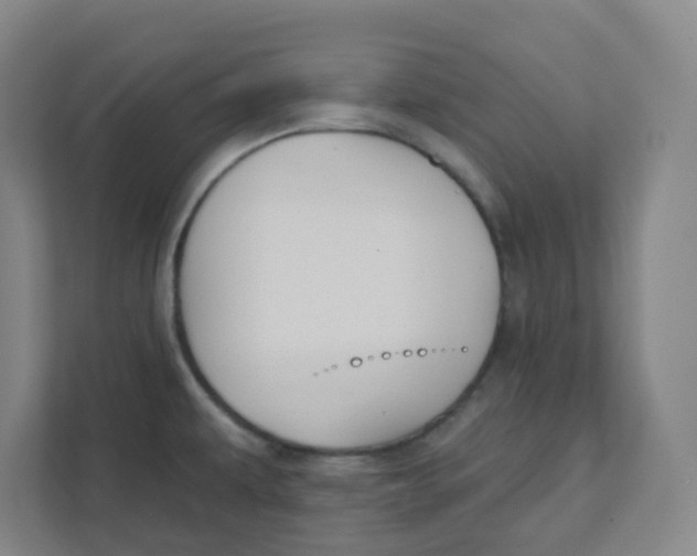 X0000111421479200908031255