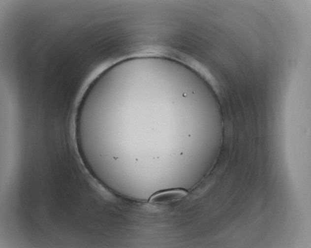 X0000111421480200908031255