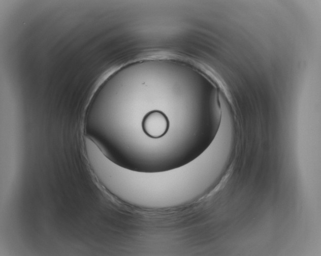 X0000111421481200908031255