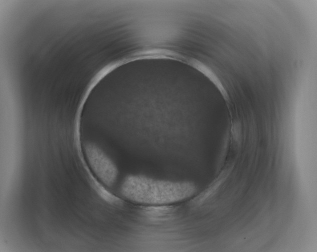 X0000111421482200908031255