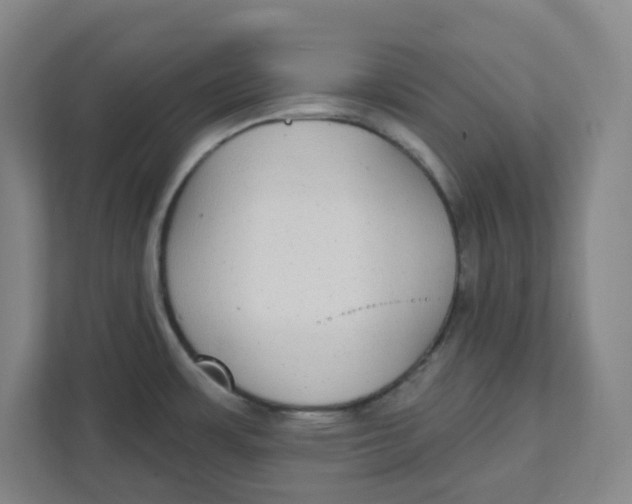 X0000111421483200908031255