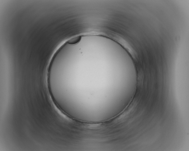 X0000111421484200908031255