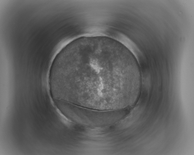 X0000111421485200908031255