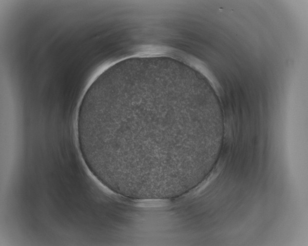 X0000111421487200908031255