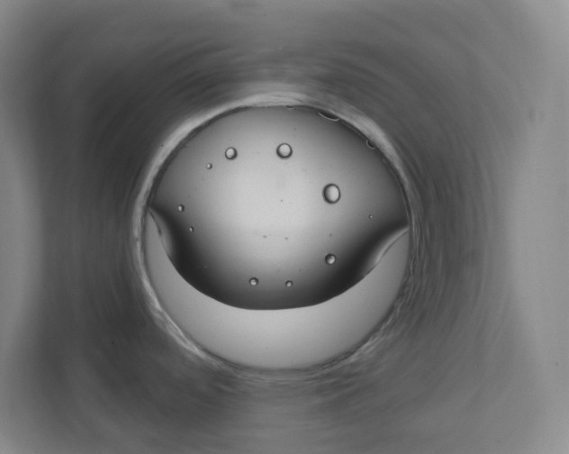 X0000111421488200908031255