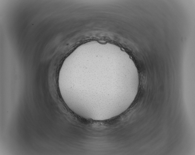 X0000111421489200908031254