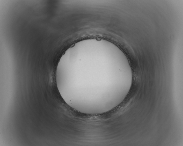 X0000111421490200908031254