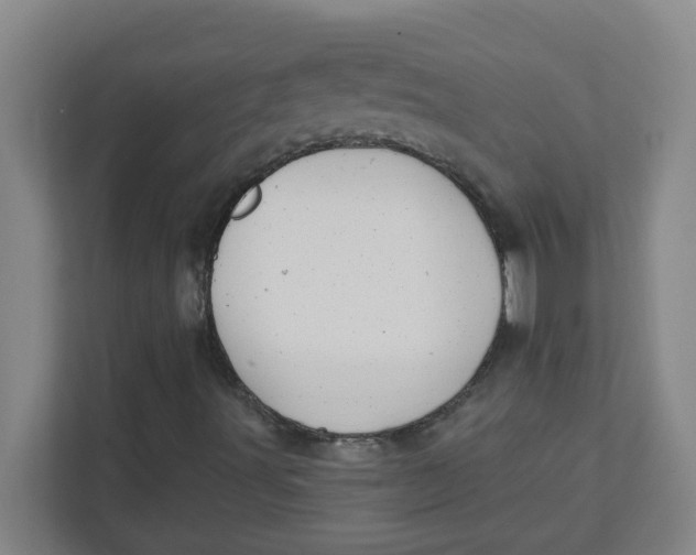 X0000111421491200908031254