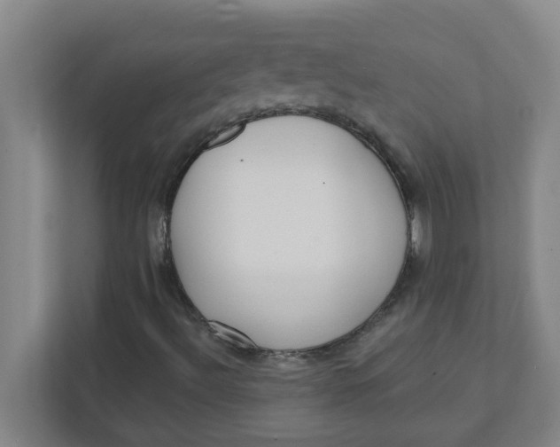 X0000111421492200908031254