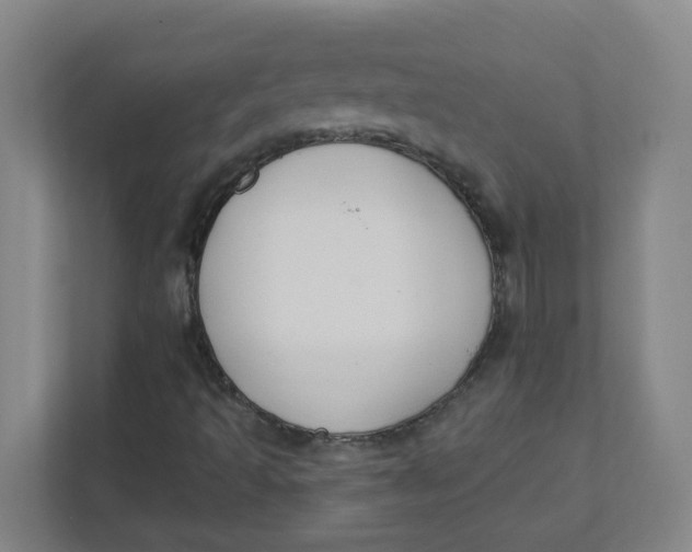 X0000111421493200908031254