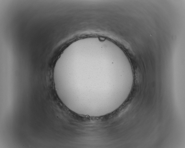 X0000111421494200908031254