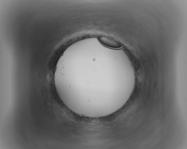 X0000111421495200908031254