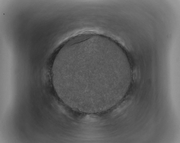 X0000111421496200908031254