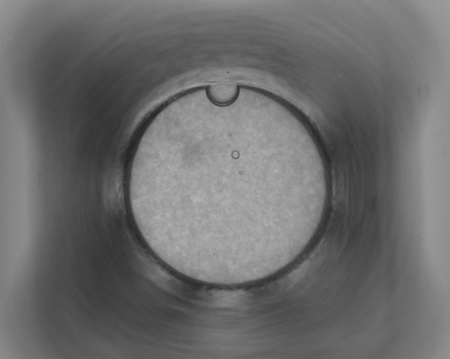 X0000111421498200908031254