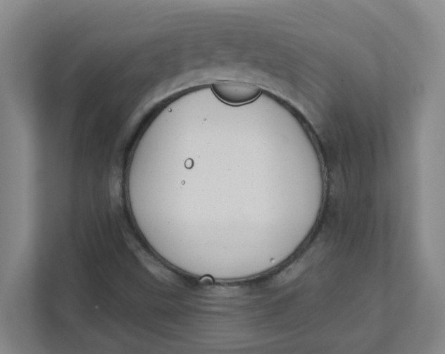 X0000111421499200908031254