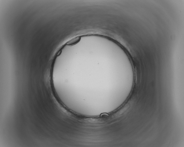 X0000111421500200908031254