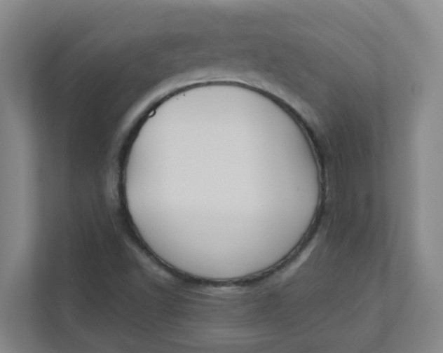 X0000111421502200908031254