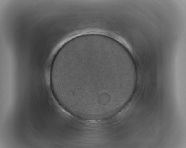 X0000111421504200908031254