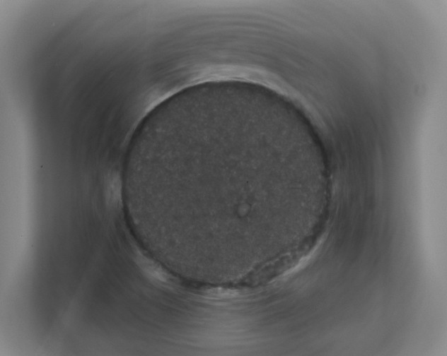 X0000111421505200908031254