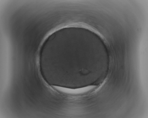 X0000111421506200908031254