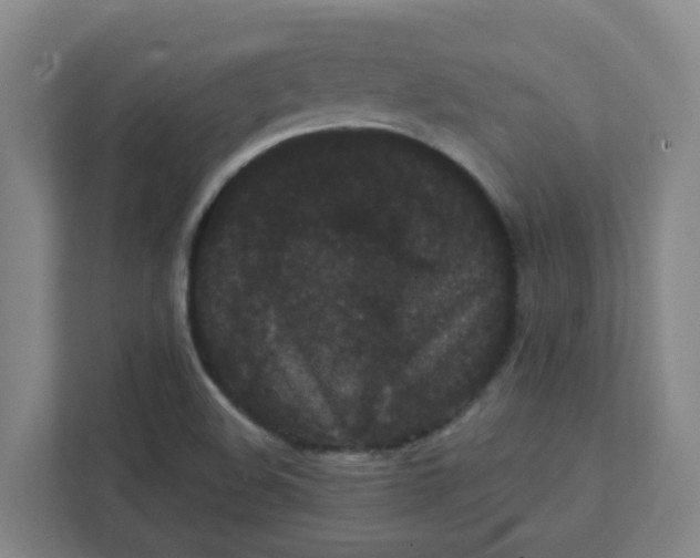 X0000111421508200908031254