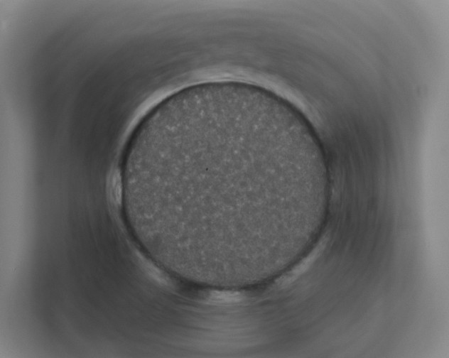 X0000111421509200908031254