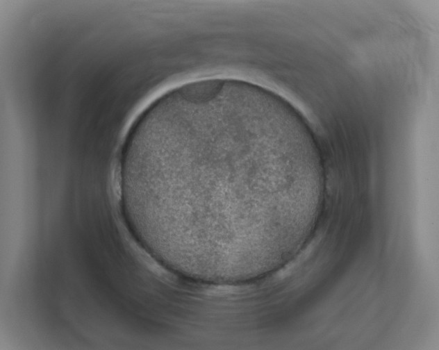 X0000111421510200908031254