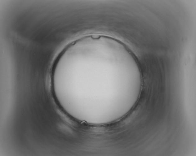 X0000111421511200908031254