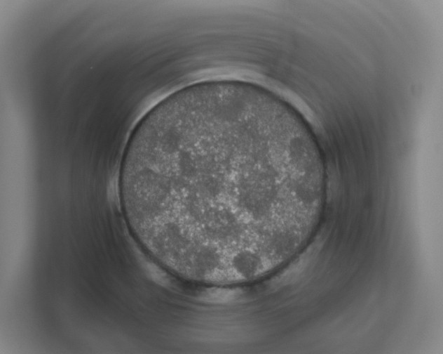 X0000111421513200908031254