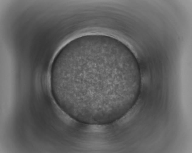 X0000111421514200908031254