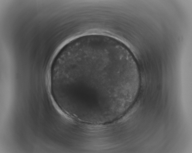 X0000111421515200908031254