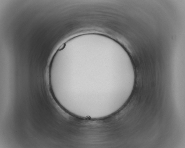 X0000111421516200908031254