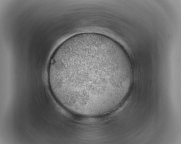 X0000111421517200908031254