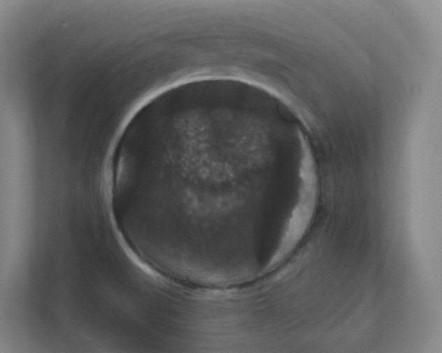 X0000111421519200908031254