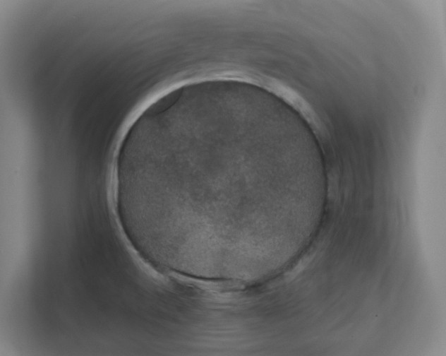 X0000111421520200908031254