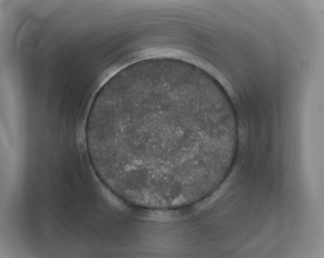 X0000111421521200908031254