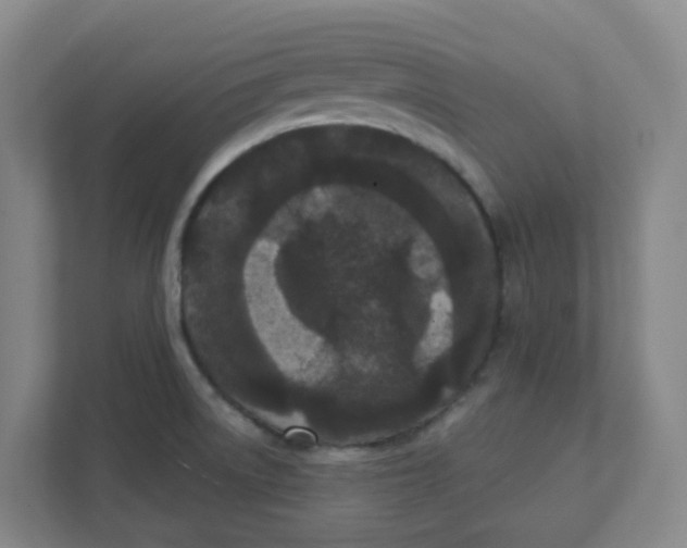 X0000111421522200908031254