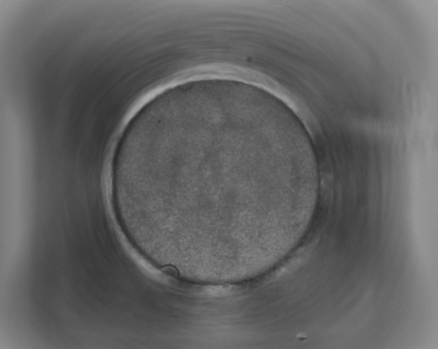 X0000111421523200908031254