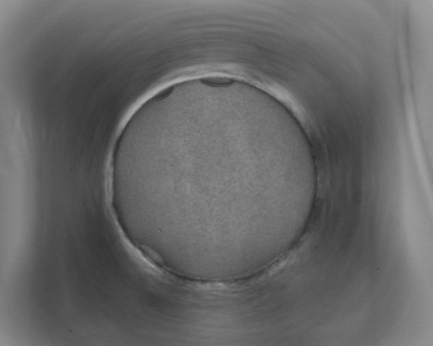 X0000111421524200908031255