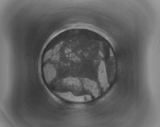 X0000111421525200908031255