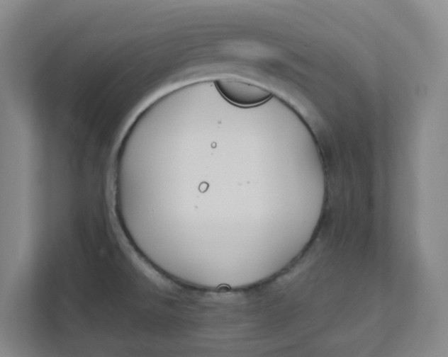 X0000111421526200908031255