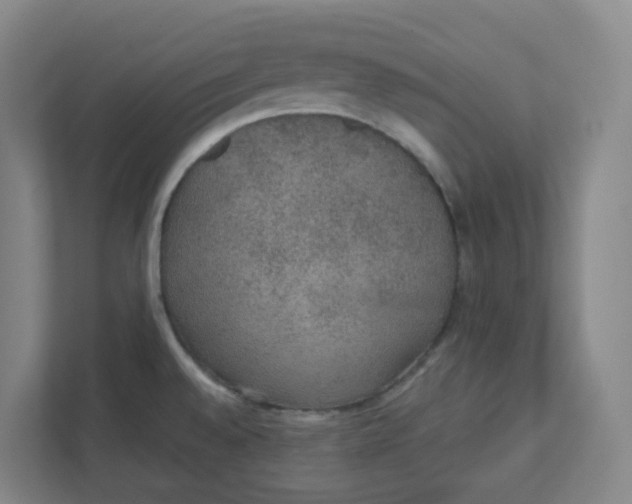 X0000111421528200908031255